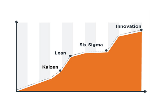 Lean Six Sigma